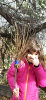 ferien_02