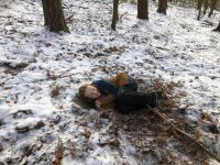 wald_07